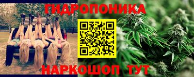 PSILOCYBIN Бугуруслан