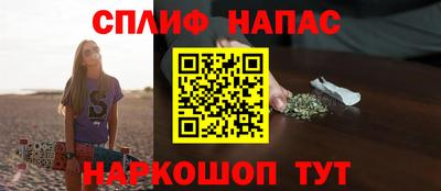 стаф Будённовск