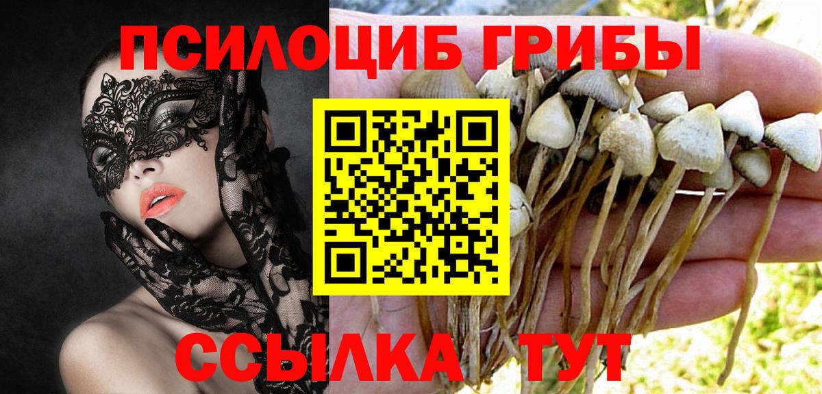 Псилоцибиновые грибы ЛСД Соликамск